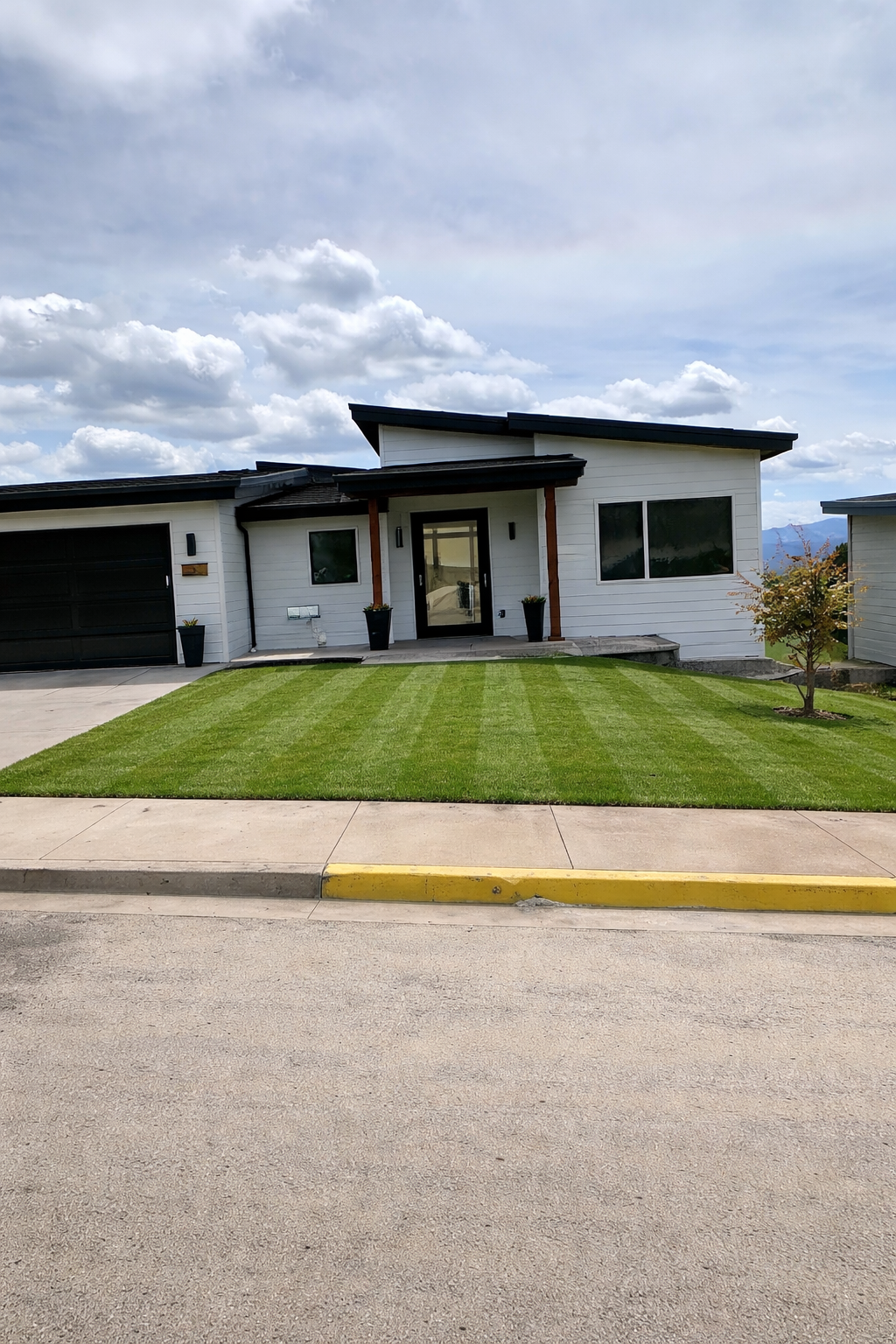 Lawn Maintenance